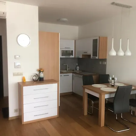 Downtown In The Heart Of The New Center, 4 Persons, Parking Apartment